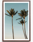 Palm Beach