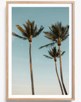 Palm Beach