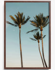 Palm Beach