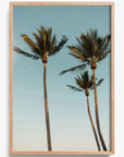 Palm Beach