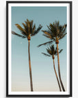 Palm Beach
