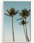 Palm Beach