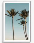 Palm Beach