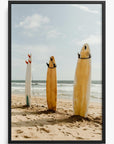 Surf Break Laguna