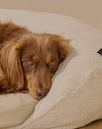 Infrared PEMF Pet Bed