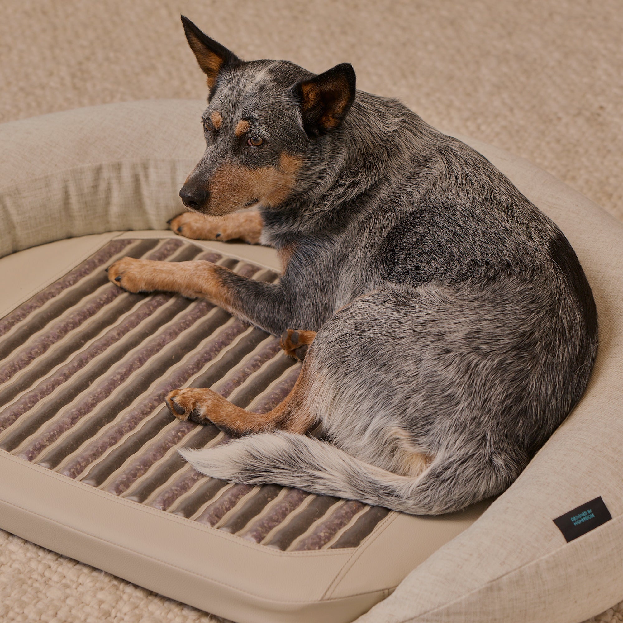 Infrared PEMF Pet Bed