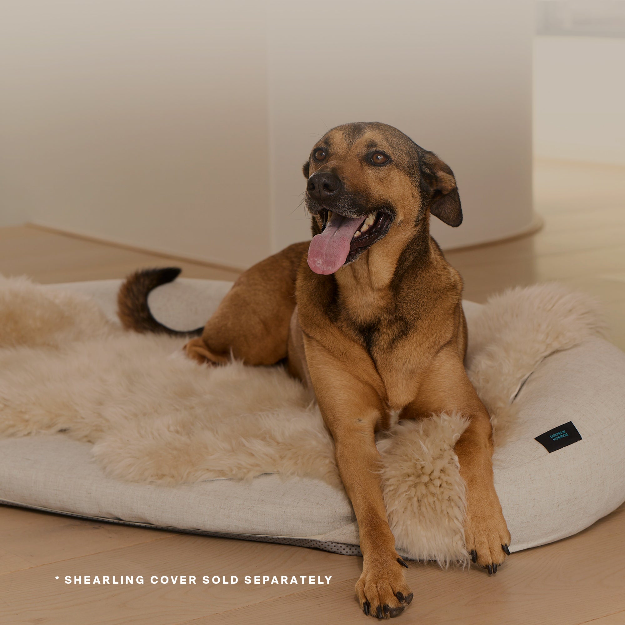 Infrared PEMF Pet Bed