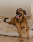 Infrared PEMF Pet Bed