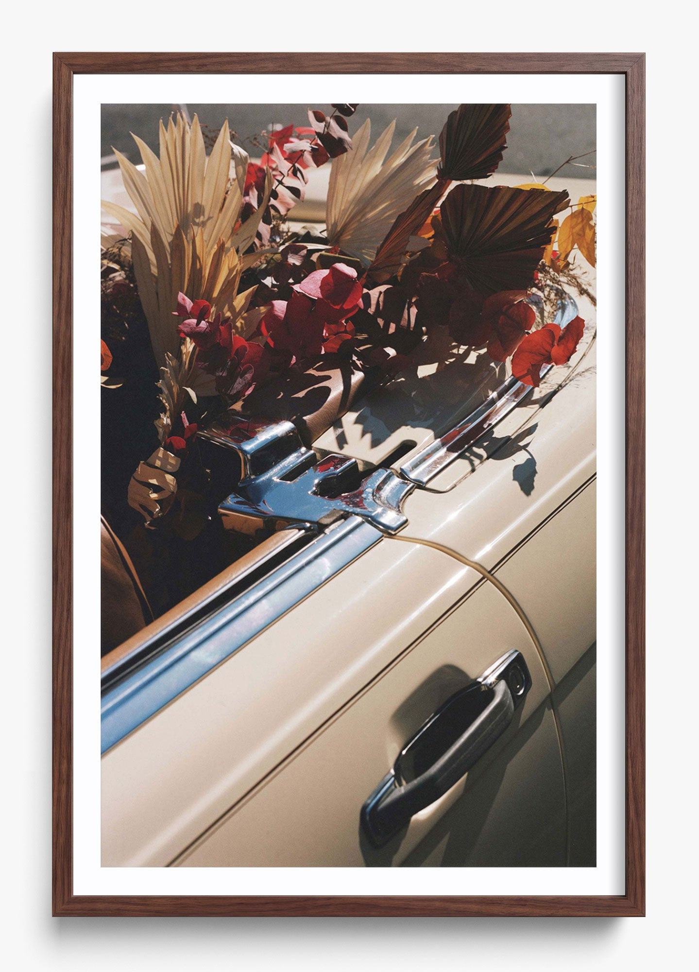 Autumn Cruiser