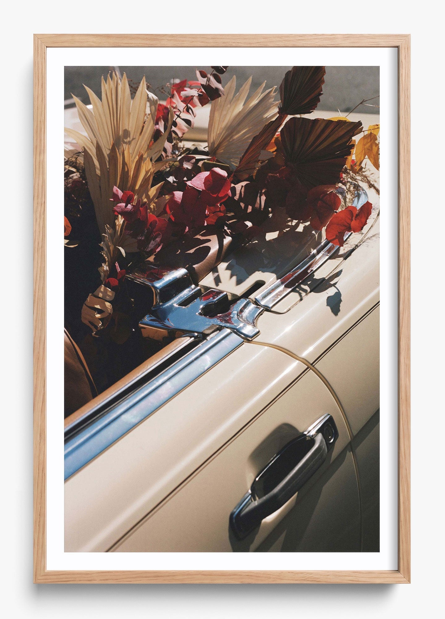 Autumn Cruiser