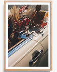Autumn Cruiser