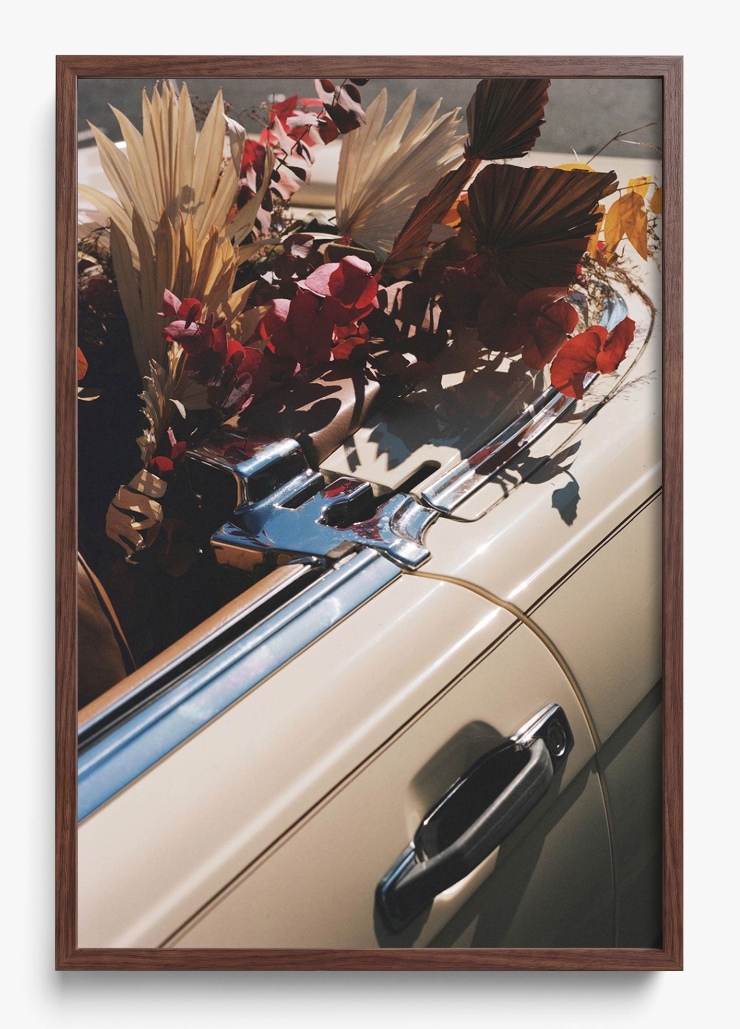 Autumn Cruiser