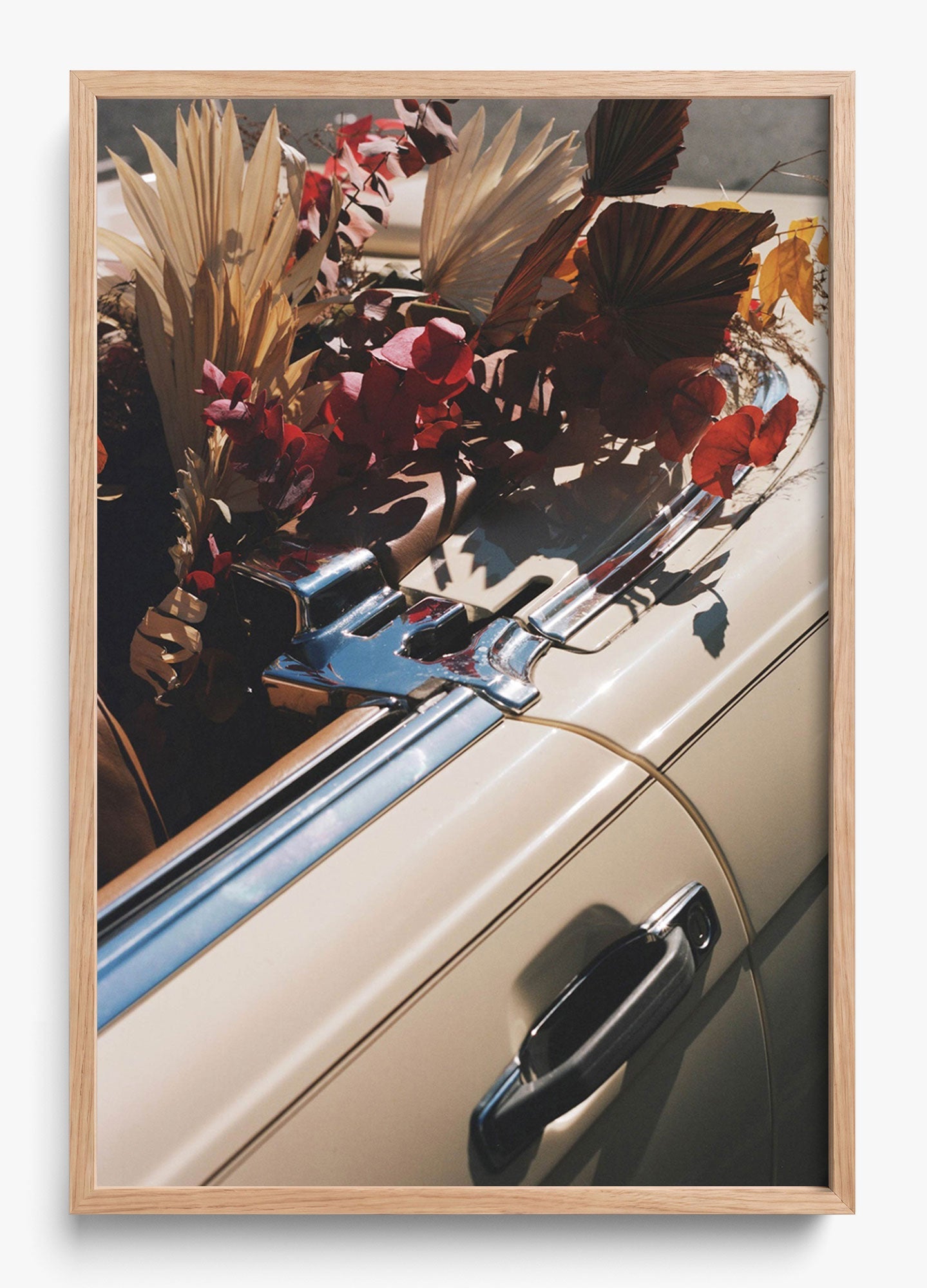 Autumn Cruiser
