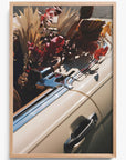 Autumn Cruiser