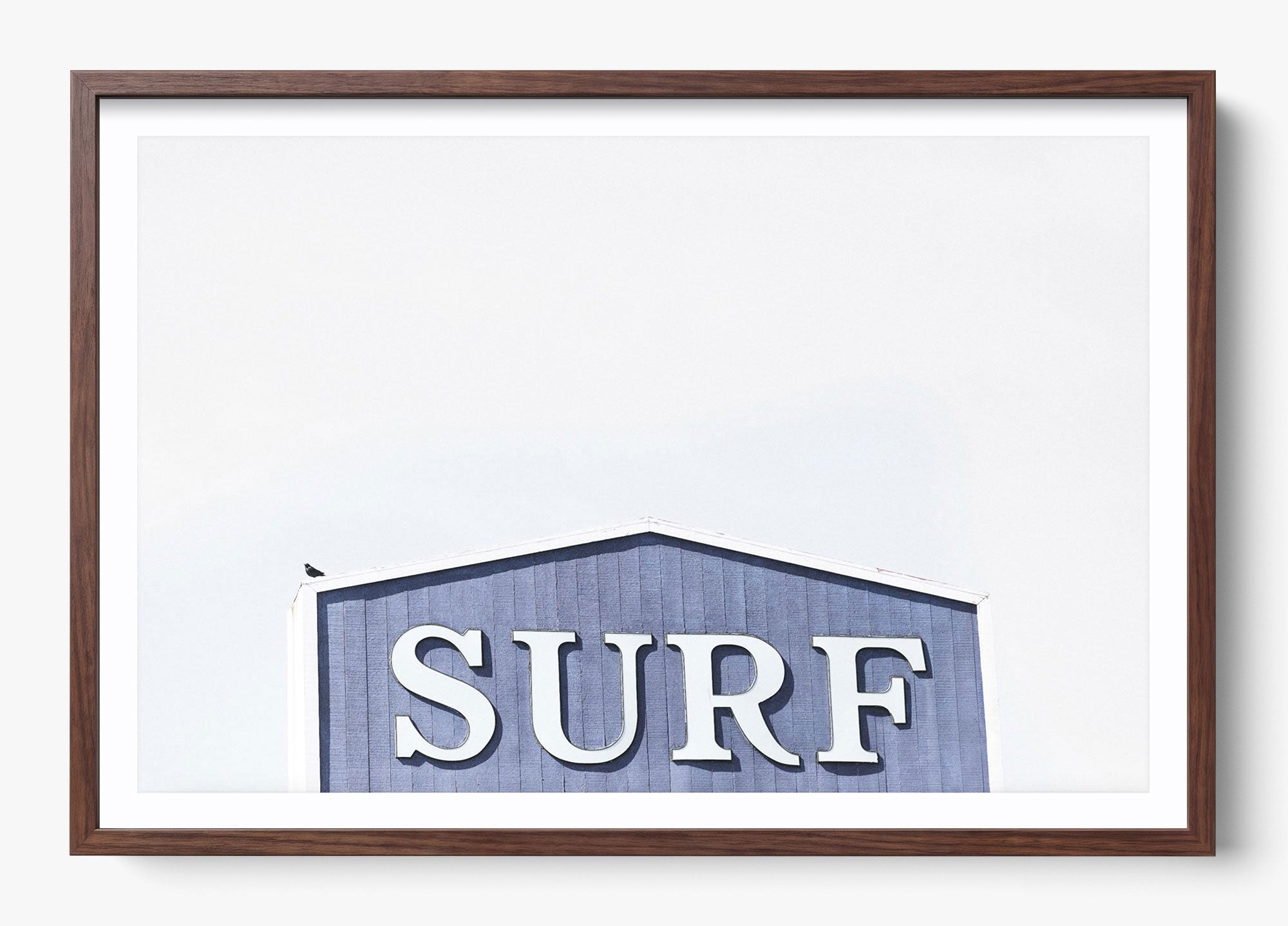 Cali Surf
