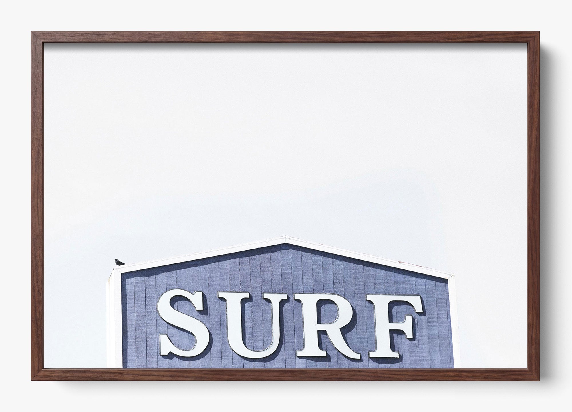 Cali Surf