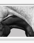 Covering