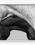 Covering