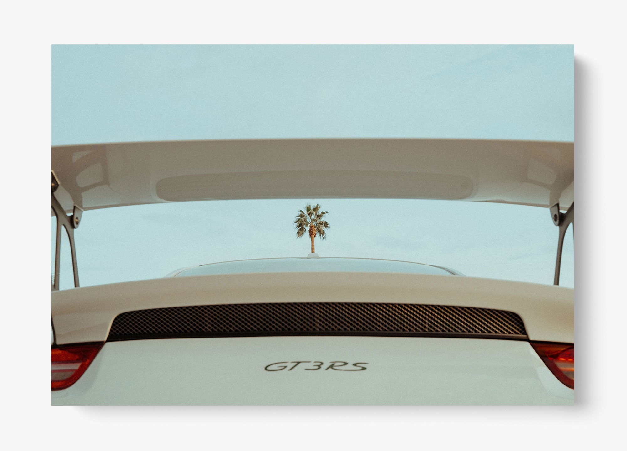 Spoiler Alert