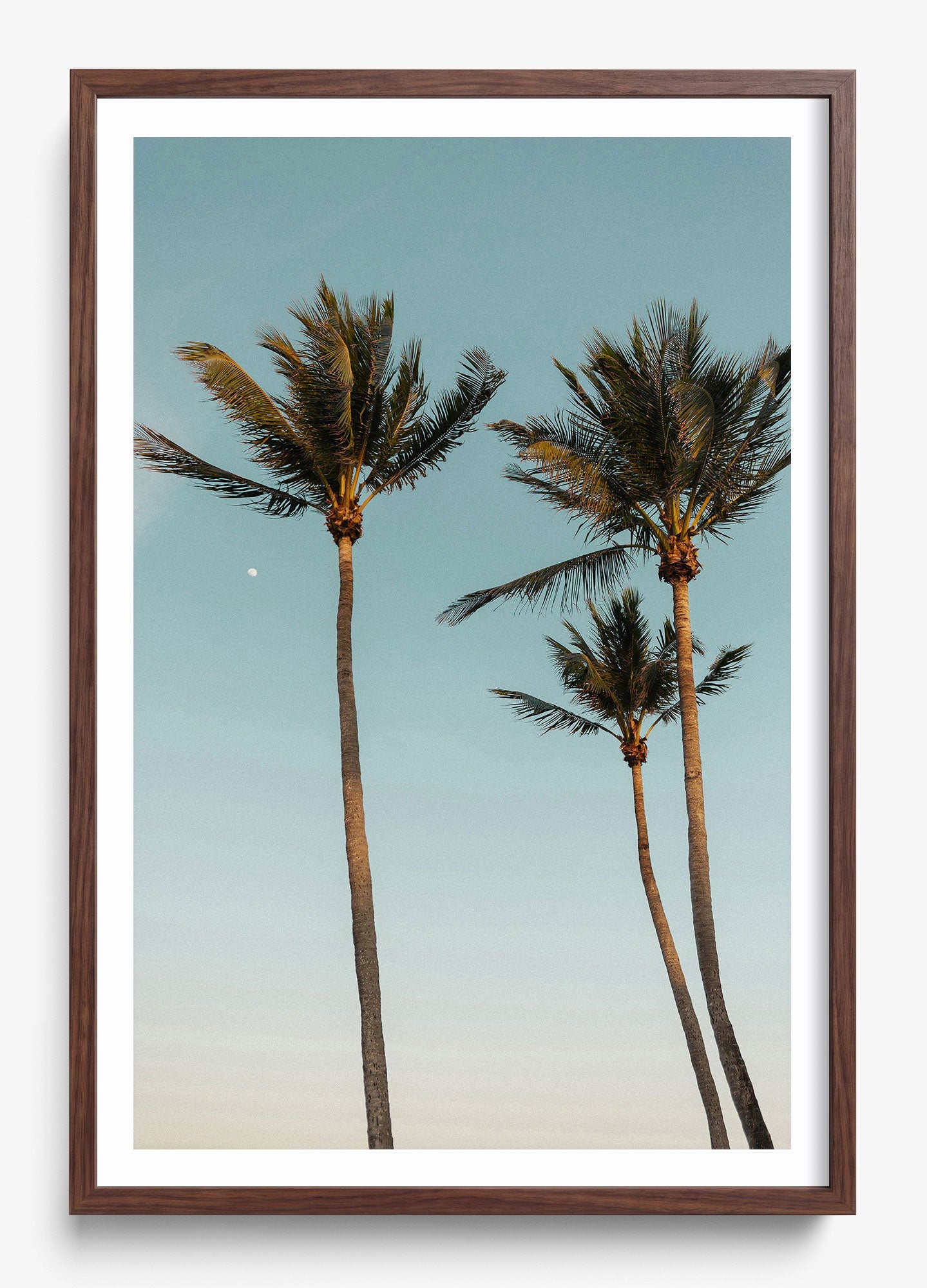 Palm Beach