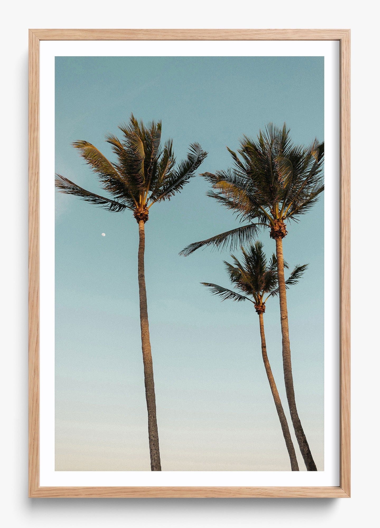 Palm Beach