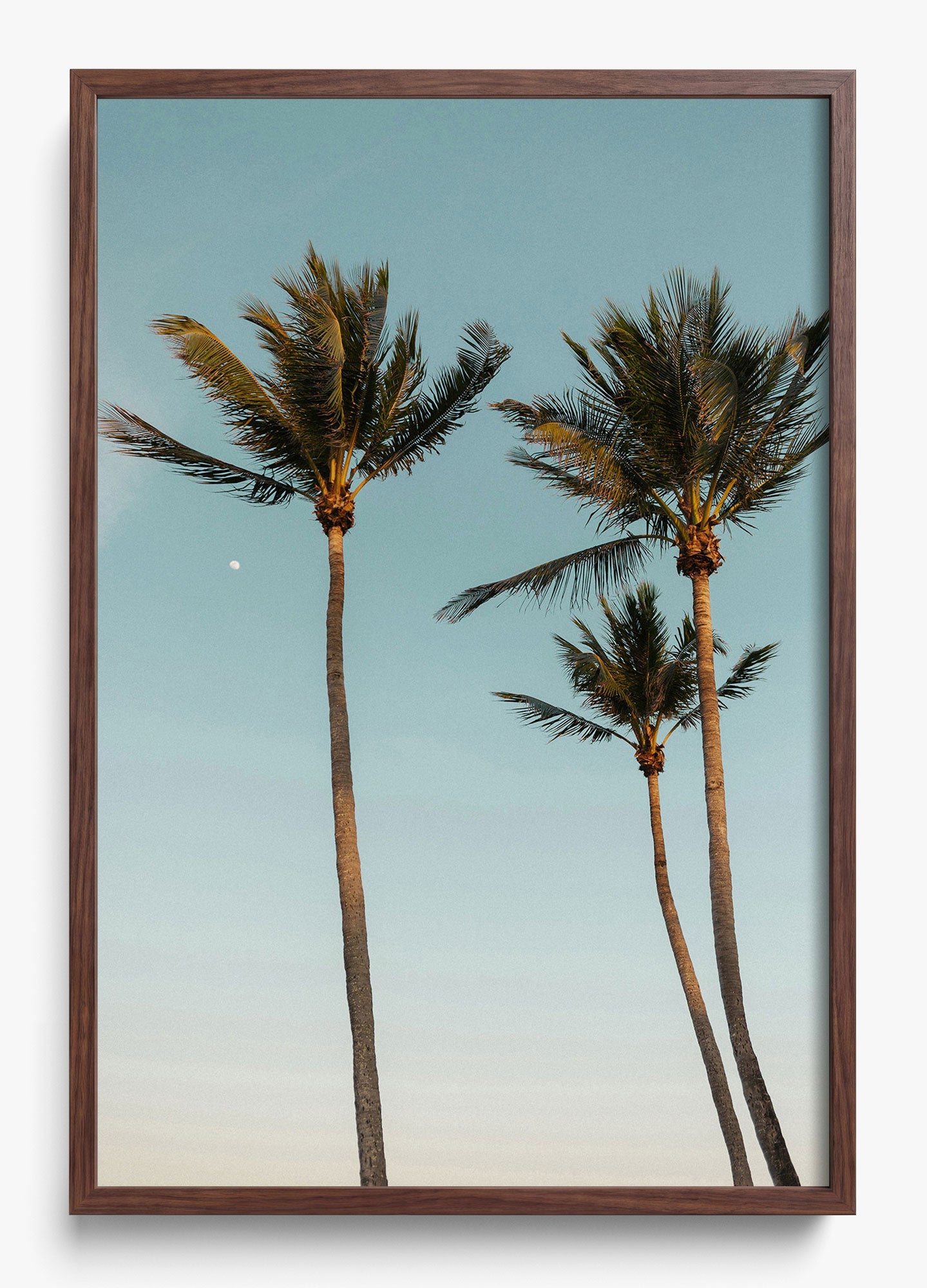 Palm Beach