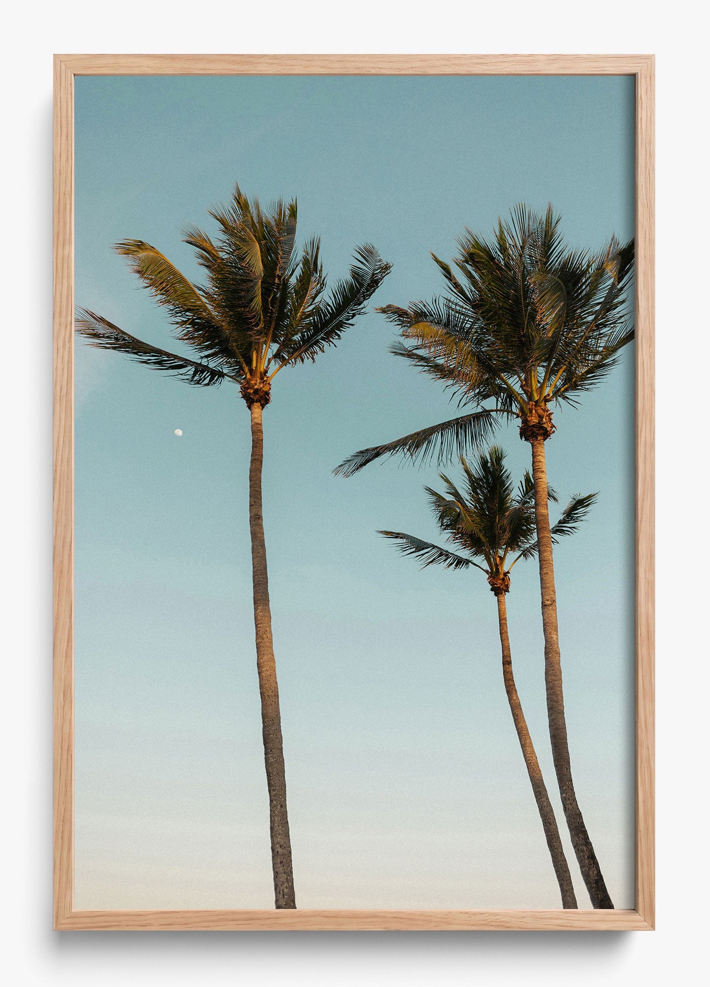 Palm Beach