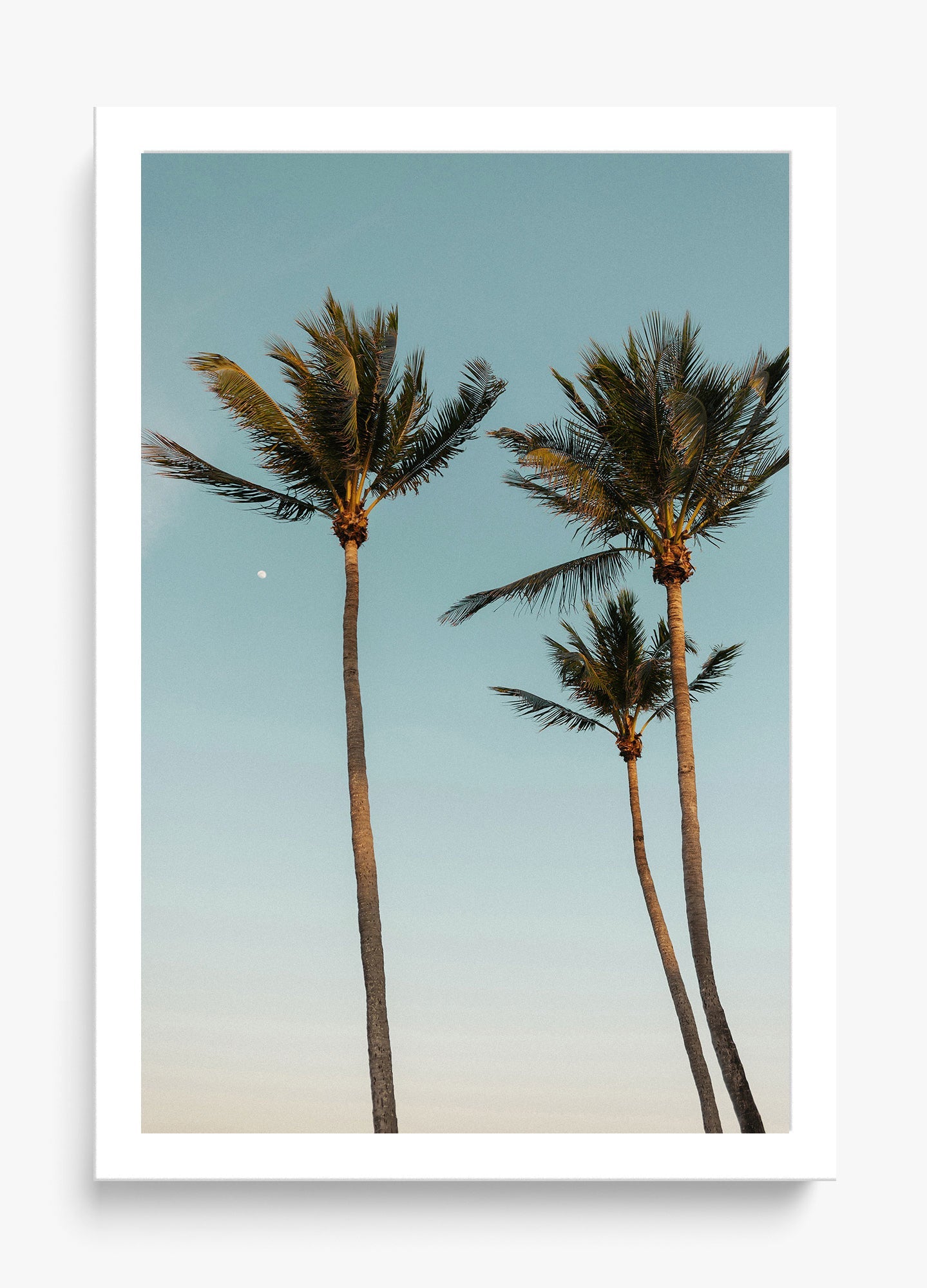 Palm Beach