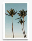 Palm Beach