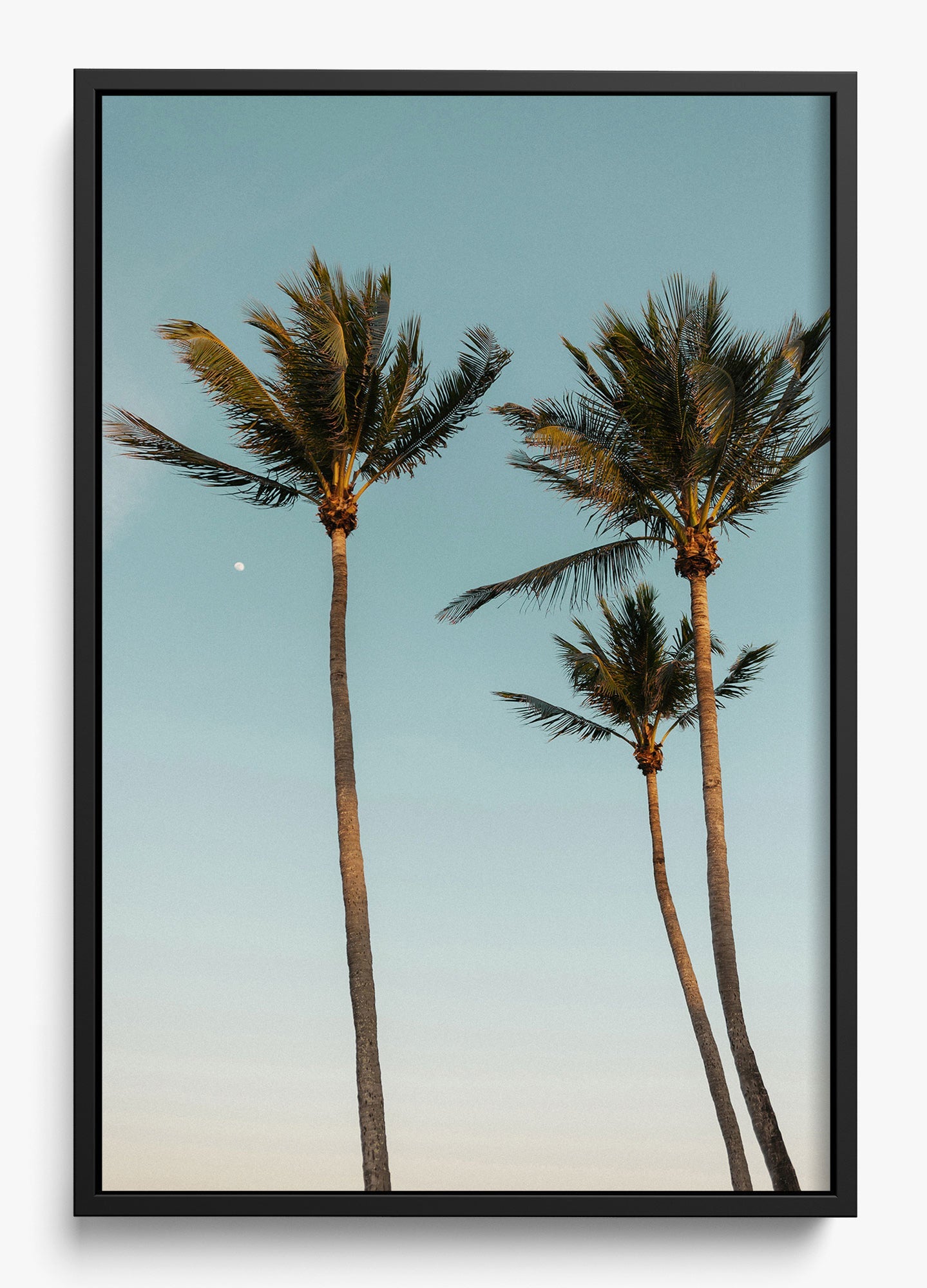 Palm Beach