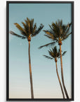 Palm Beach
