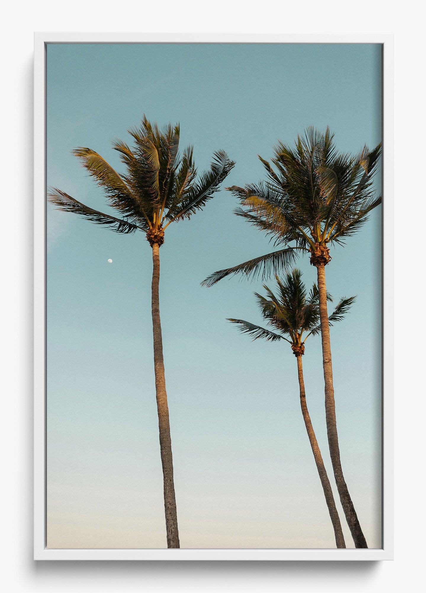 Palm Beach