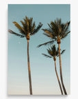Palm Beach
