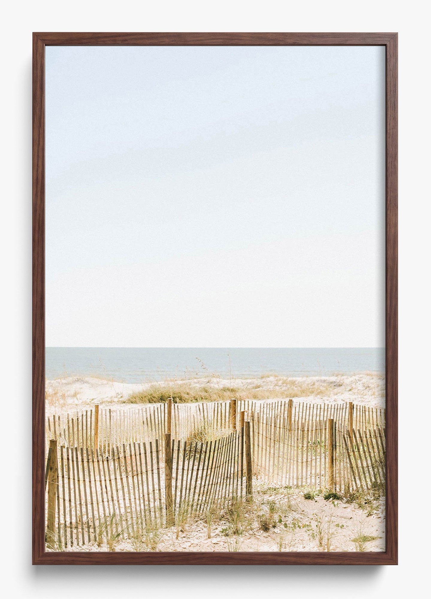 Southern Shore