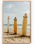 Surf Break Laguna