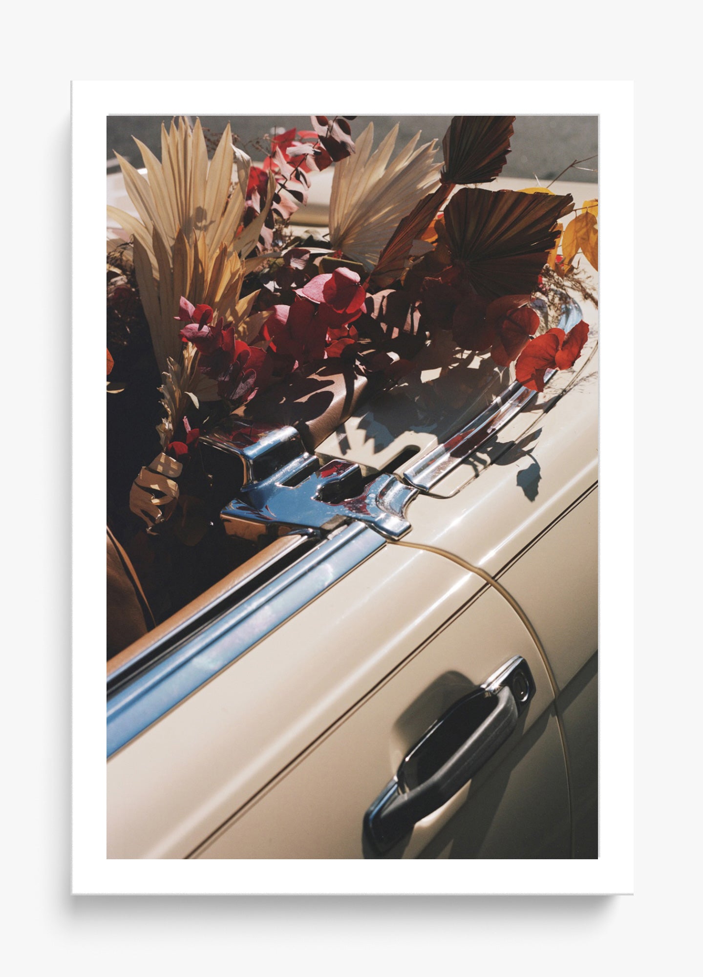Autumn Cruiser