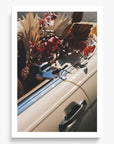 Autumn Cruiser