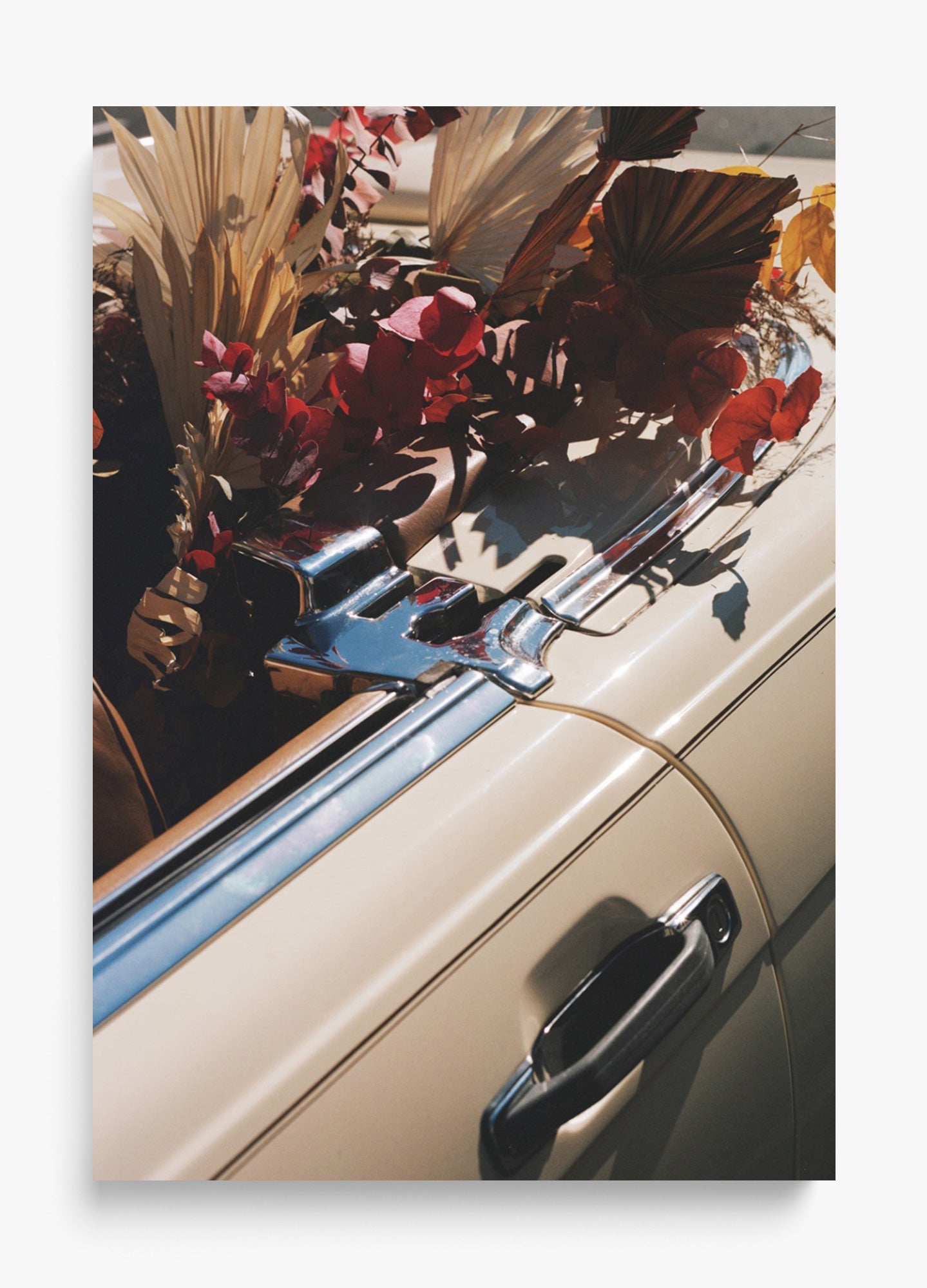 Autumn Cruiser