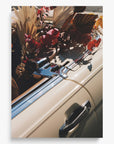 Autumn Cruiser