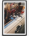 Autumn Cruiser