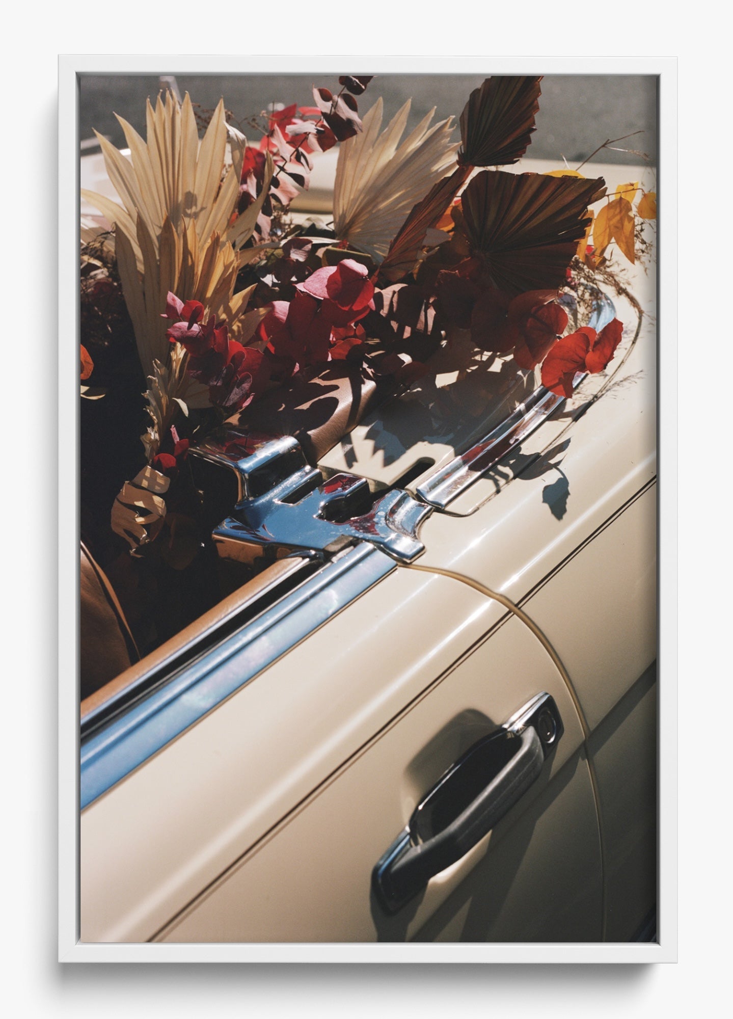 Autumn Cruiser