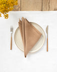Latte linen napkin set of 2